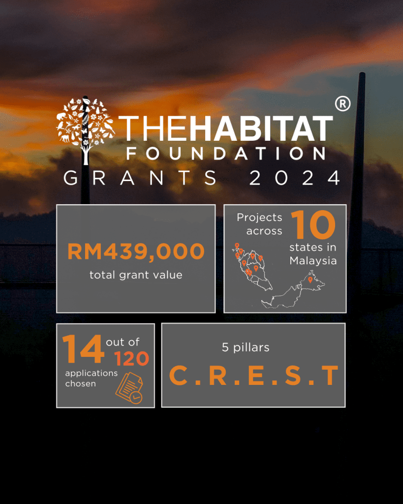 Unveiling the 2024 THF Grantees